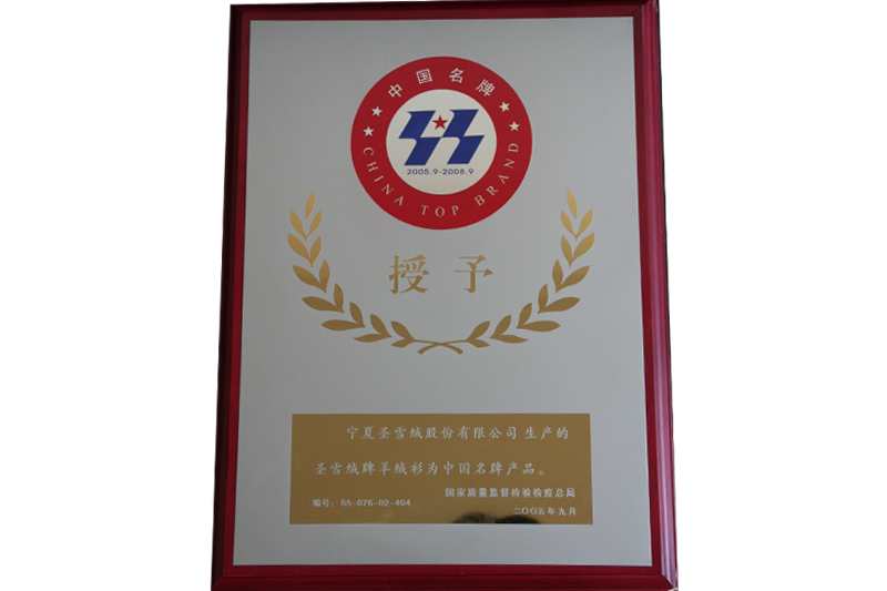 2005-2010年中國(guó)名牌產(chǎn)品
