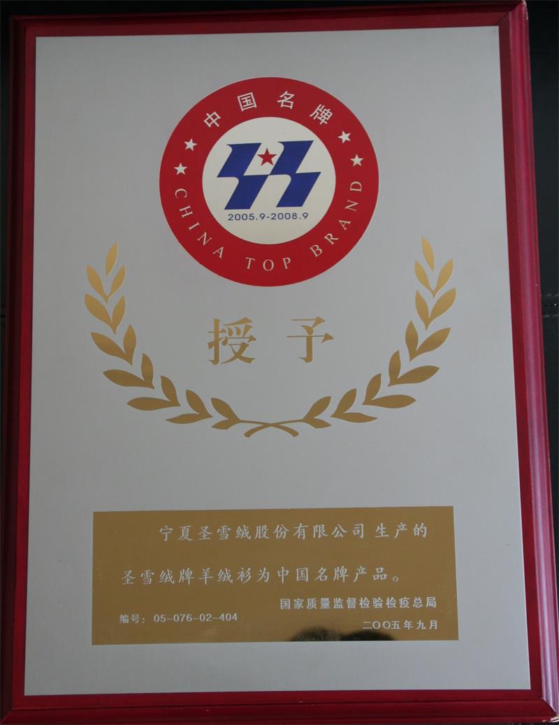 4.2005-2010年中國名牌產(chǎn)品_看圖王.jpg